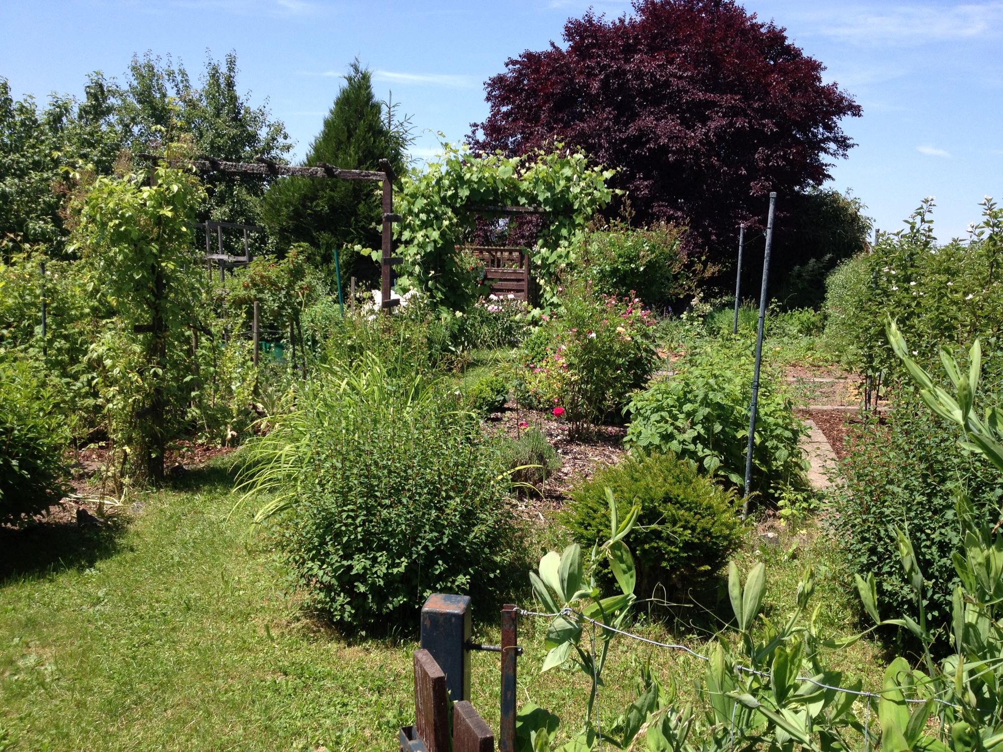 Ein Garten zum Ankommen