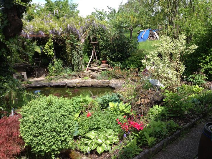Teich mit Glyzinien-Pergola