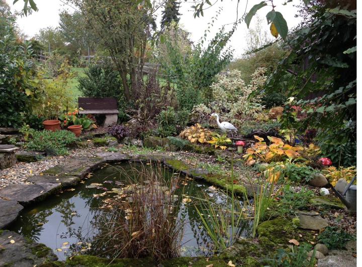 Der Teich im Herbst