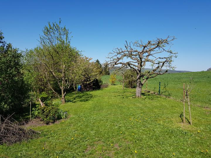 Die offene Obstwiese im Frühjahr